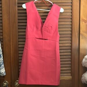 Endless Rose Pink Sheath Plunge Dress